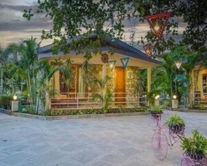 Banyan-3