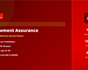 Endowment-Assurance-Calculator