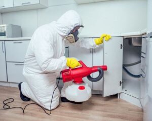 One-Roof-Fumigation-Services-1
