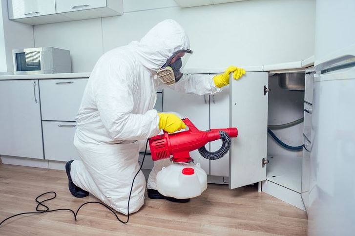 One-Roof-Fumigation-Services-1
