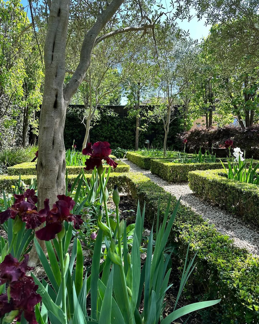 hedging-and-tree-care-melbourne