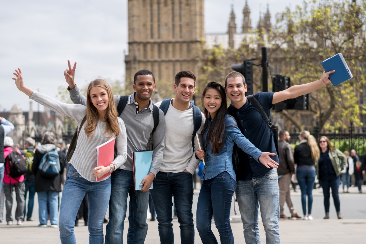 imgi_50_imgi_34_austral-banners