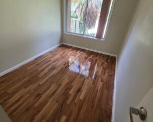 imgi_6_2d203b28-e22f-44e5-b393-9ca7c3586f87