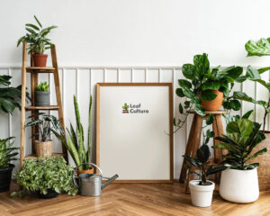 leaf-culture-cover
