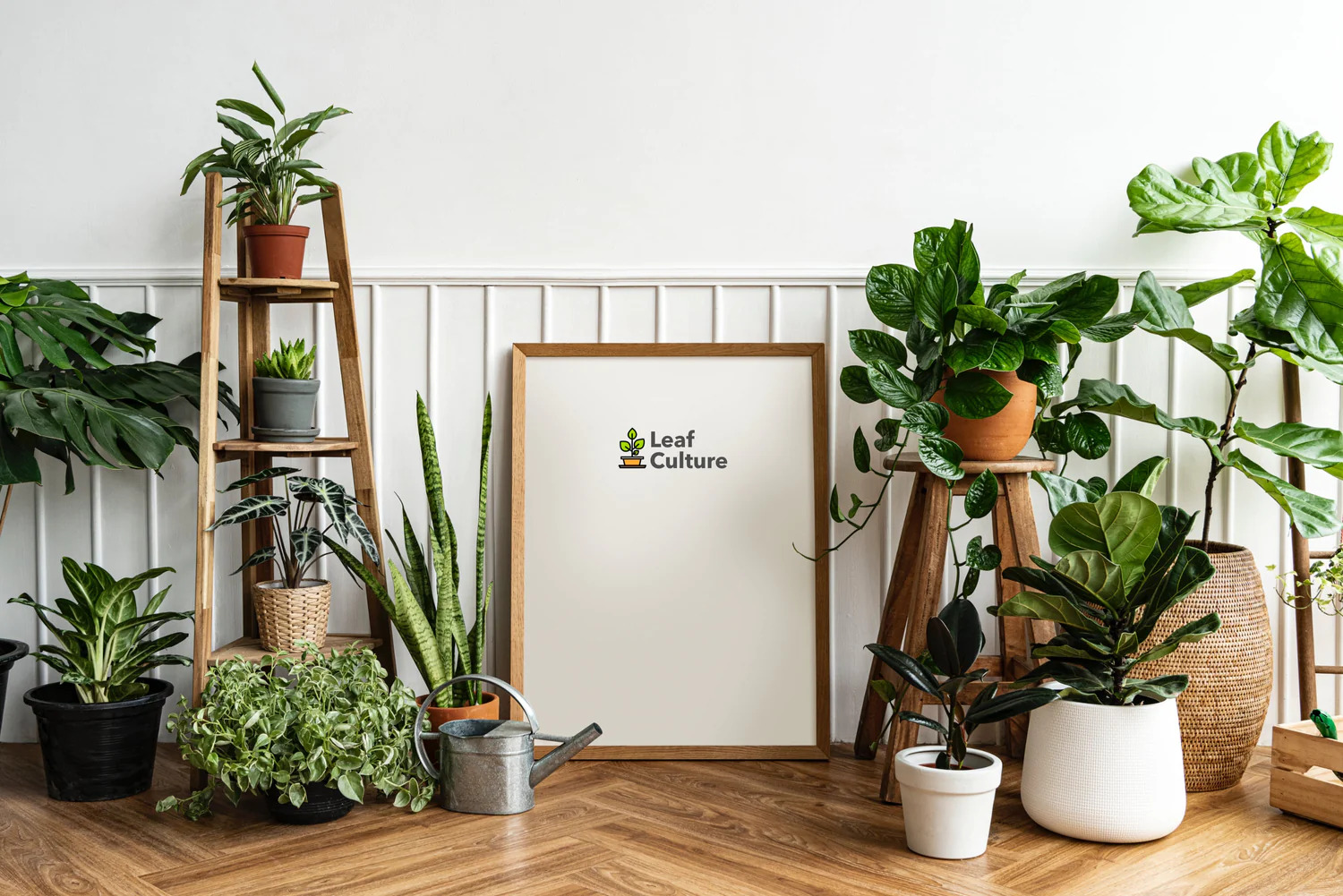 leaf-culture-cover