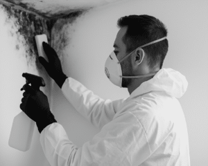 5-key-insights-on-mould-removal-abu-dhabi-comprehensive-serv