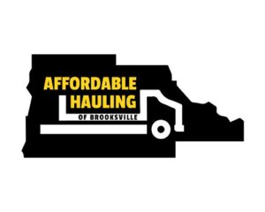 Affordable-Hauling-Dumpster-Service-logo-nes-jpg-1
