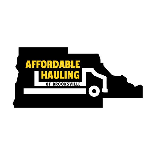 Affordable-Hauling-Dumpster-Service-logo-nes-jpg-1