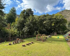 Cover-Back-To-Nature1