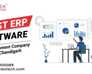 ERP-Software-Development-Company-in-Chandigarh-2