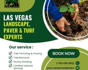 Las-Vegas-Landscape-Paver-Turf-Experts