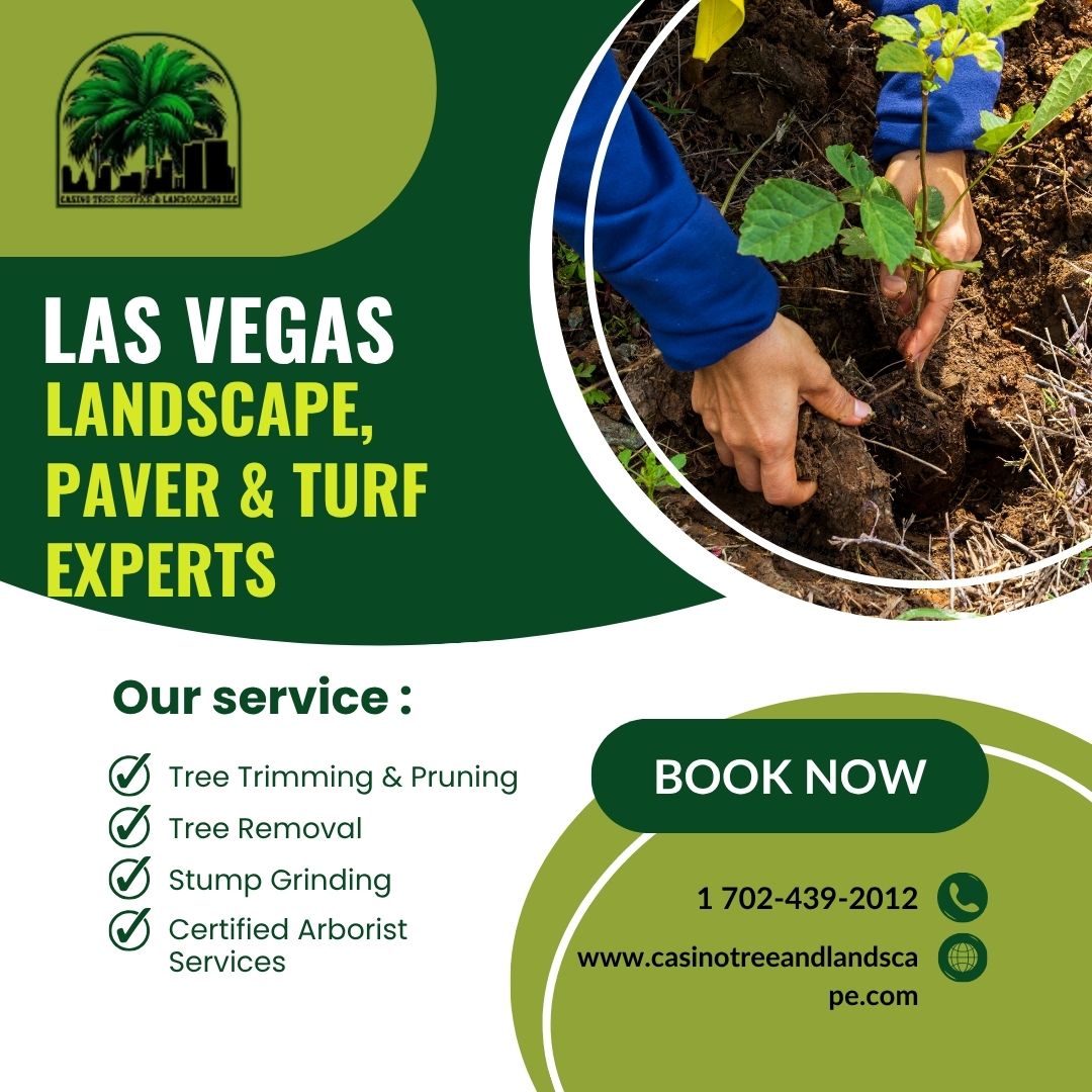 Las-Vegas-Landscape-Paver-Turf-Experts