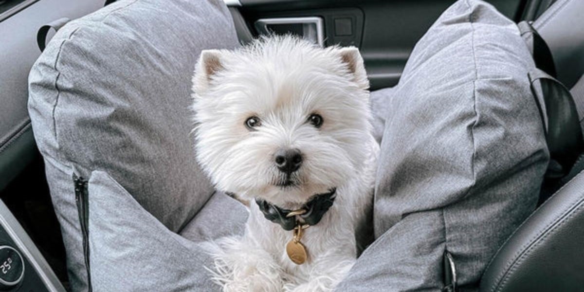 Silver-Circle-Pets-Banner