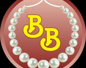 Sri-Bansilal-Logo-1
