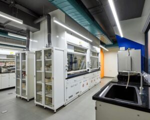 Trunkey-Lab-solutions