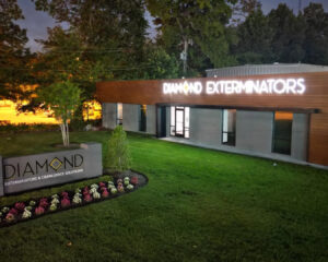 Why-Diamond_-1920w