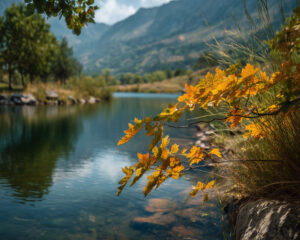 andreycelestino_natures_beauty_photo_taken_from_a_Nikon_Z8_came_dfc5cb09-1dcc-4ae9-84b5-15857556dc91