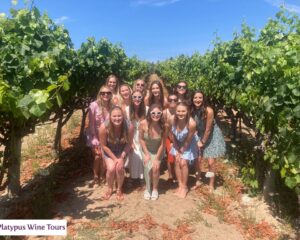 imageye___-_imgi_43_NngyLWEuanBn