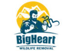 Logo-95