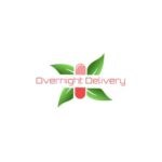 Overnight-Delivery-1.jpg
