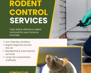 RODENT-CONTROL-SERVICES