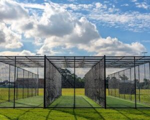cricket-fence
