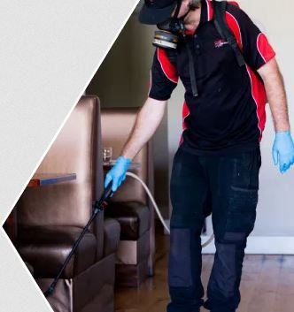 pest-control-perth