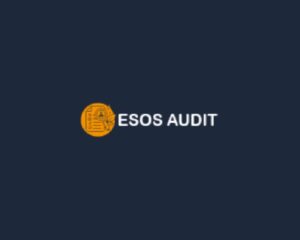 ESOS-Audit-Ltd-Logo-1