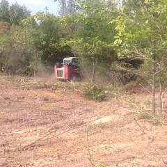 Land-Clearing-1