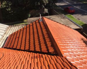 Professional-Roof-Cleaning
