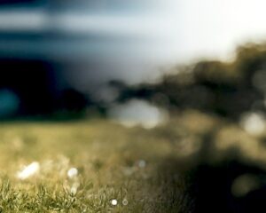 Screenshot_1