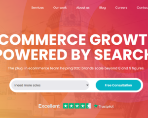 Searchflex
