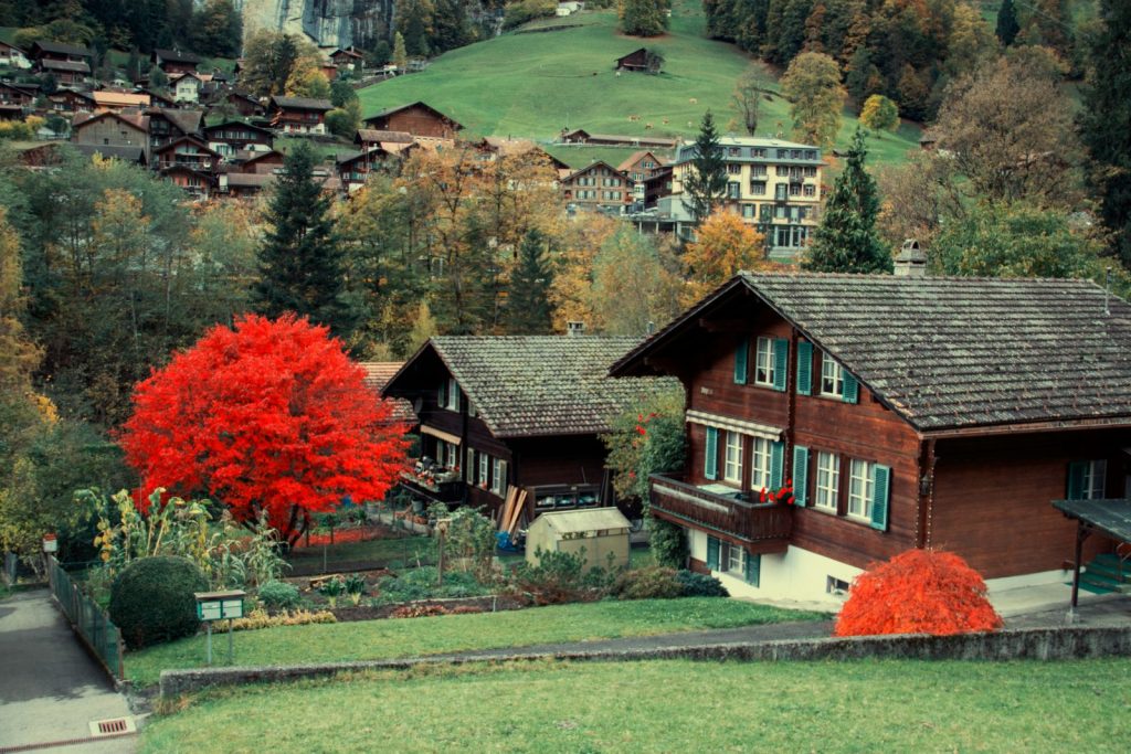 aleko-kezevadze-bmKbV2dX2_k-unsplash-1024×683-1