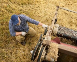 harvestor