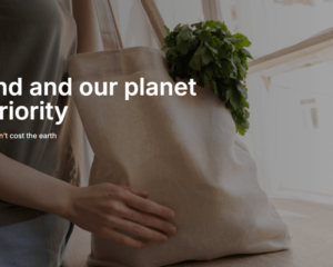 icegreen-banner