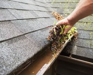 imgi_3_blog-content-gutter-guard-cleaning-feat
