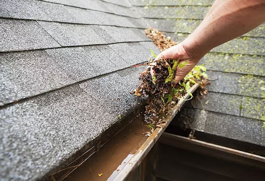 imgi_3_blog-content-gutter-guard-cleaning-feat