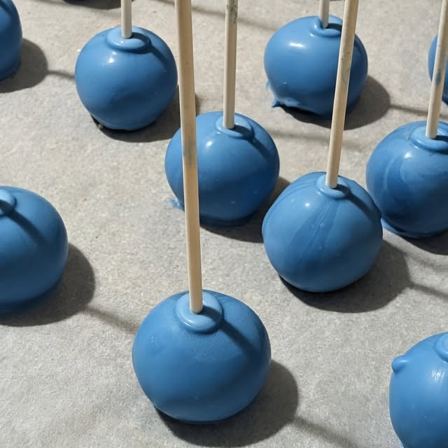 imgi_6_566518947_17855835435543046_5323028424049664237_n