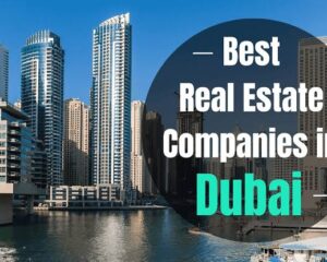 real-estate-agency-in-dubai
