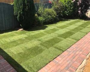 turfing-sydneytreefelling-12-1