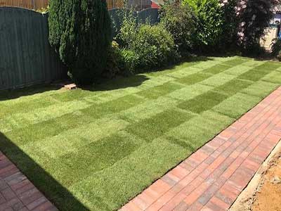 turfing-sydneytreefelling-12-1
