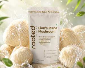 Lions-Mane-Mushroom-Extract-Powder-1