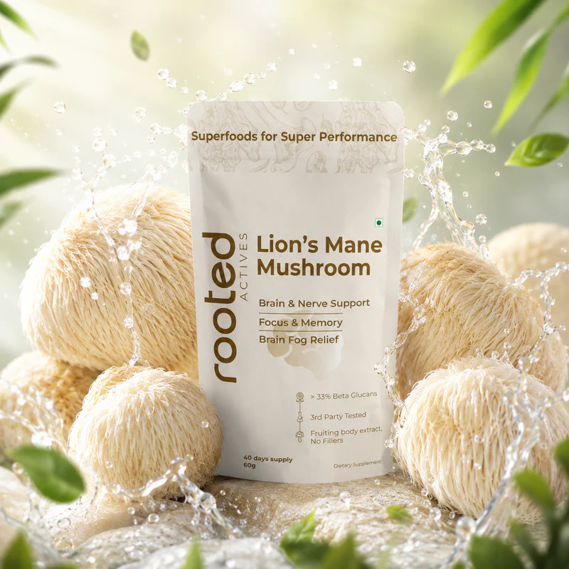 Lions-Mane-Mushroom-Extract-Powder-1