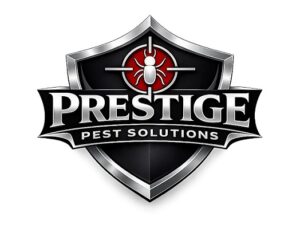 Logo-8