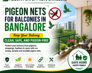 Pigeon-Nets-for-Balconies-in-Bangalore-june-23