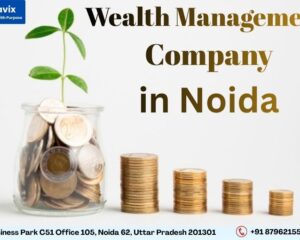 Wealth-management-company-in-Noida-2