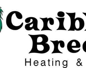 caribean_breeze_blue_truck_1-2048×646-Picsart-BackgroundRemover