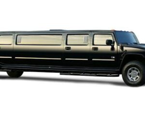 party-busrental-1