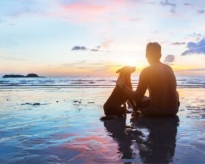 shutterstock_510344317