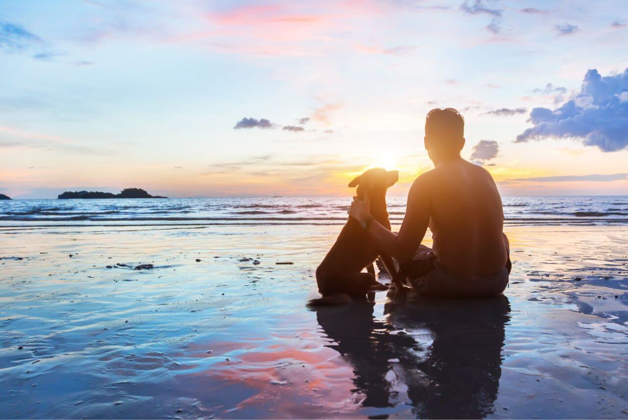 shutterstock_510344317